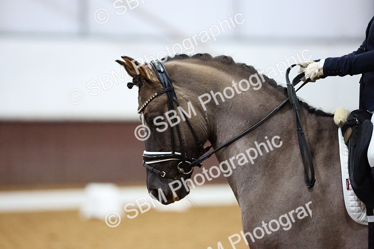 SBM_002659 - Class 23-25-26 - FEI PSG FEI INTI FEI Pony Team Test