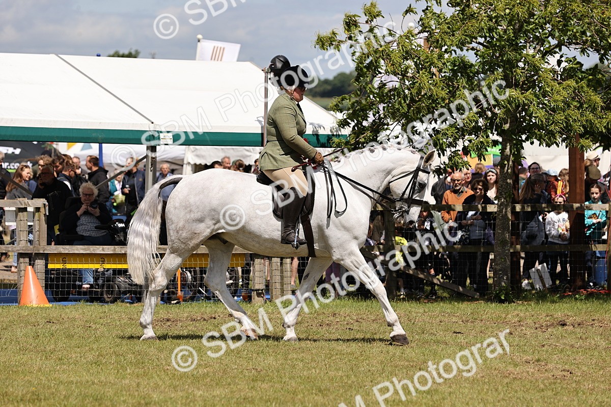 SBM_14780 - Class 88-89 - LIHS BSHA Rising Star of Ridden Hunter Type