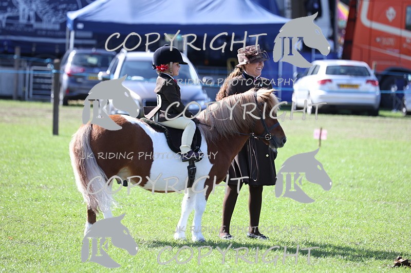 APP_3833 - Class 13 Lead rein