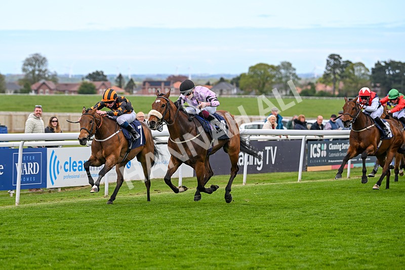 240425-Race 2-Brummell-1066 - Race 2