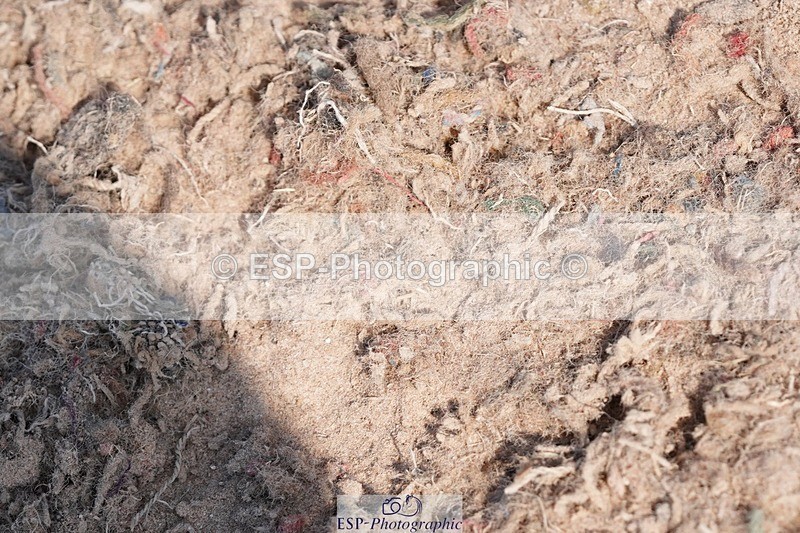 250503-100800-00129 - Cls 17+18 Club and Schools 60cm