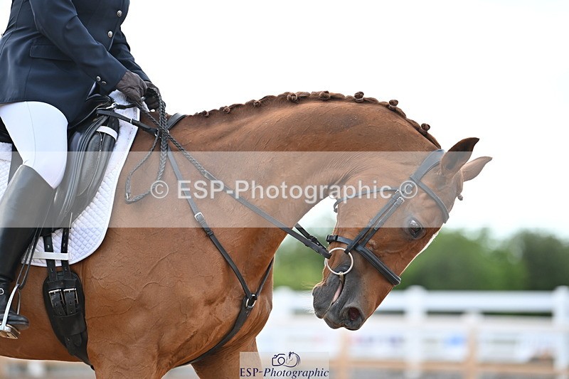 240622A-181053-15494 - Cls 7B+C Elementary 44 RoR