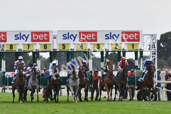 yr23072022r5-17 - Race 5 4.25pm Sky Bet UK's No1 Betting App Stakes