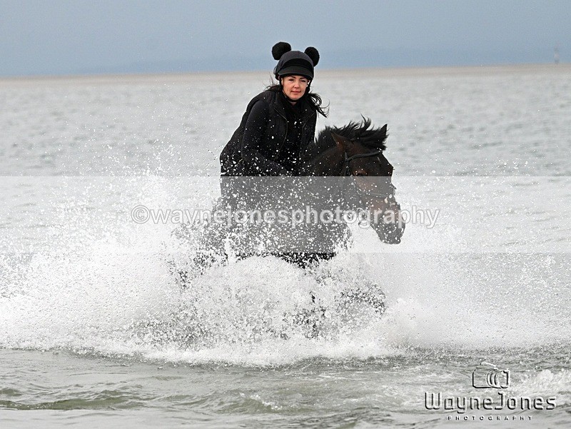 WJ7_9560 - Hayling Island Beach Shoot 22-09-24