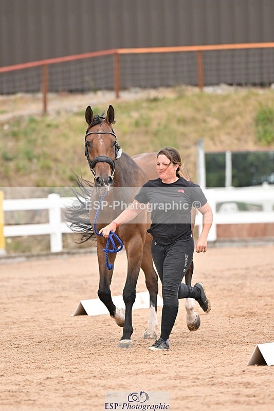 250716-161542-02530 - Trot Up 3.30 to 4.30