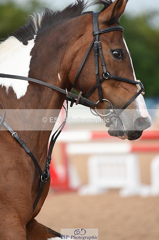 230628A-103028-00101 - Cls 1 British Novice & 90cm Open