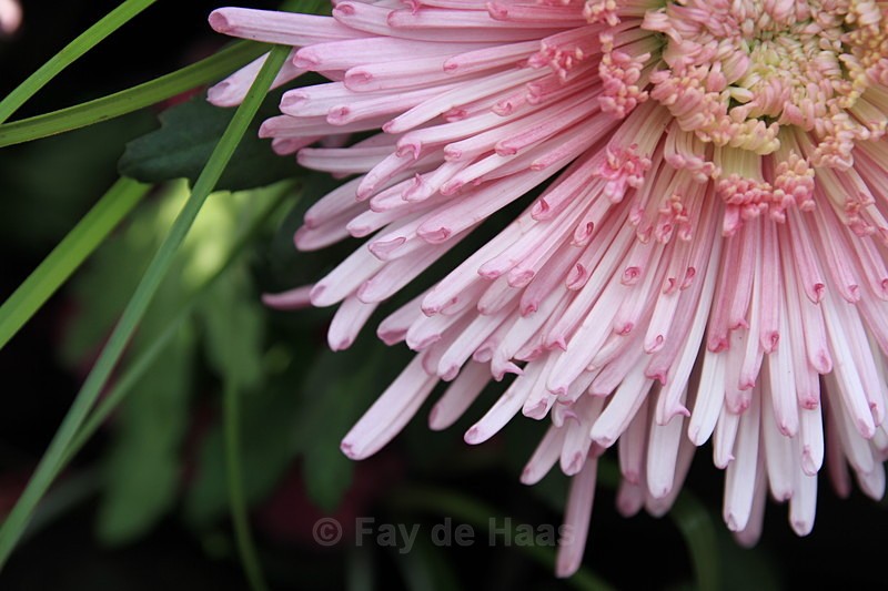  - The Glow of Summer