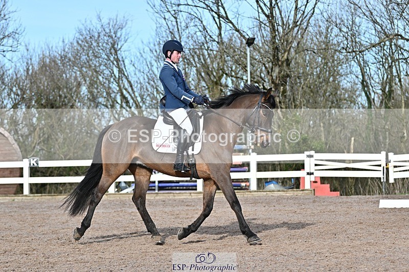 250125-120354-00388 - Dressage - CT Class 5 BE95 (90cm)