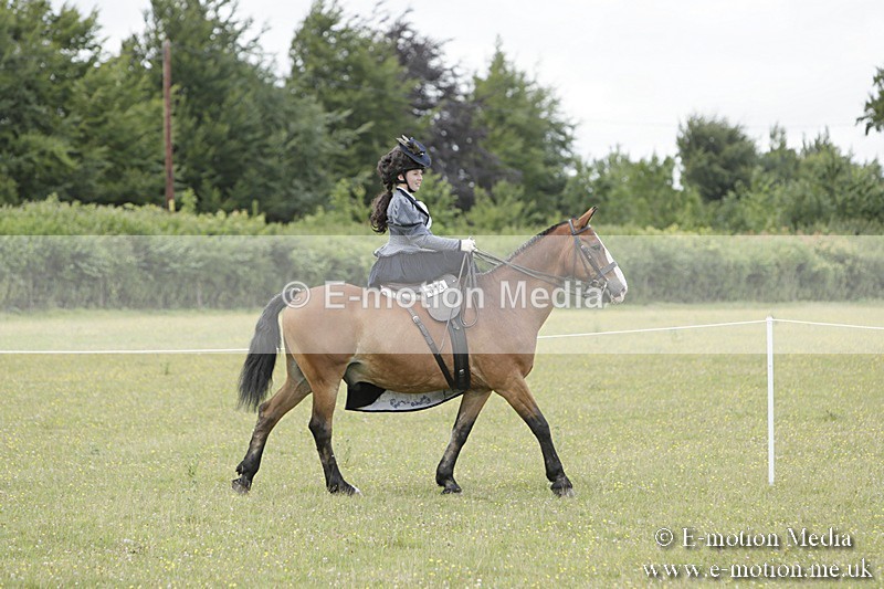 BVR160717-2419 - Side Saddle Classes 16/07/17
