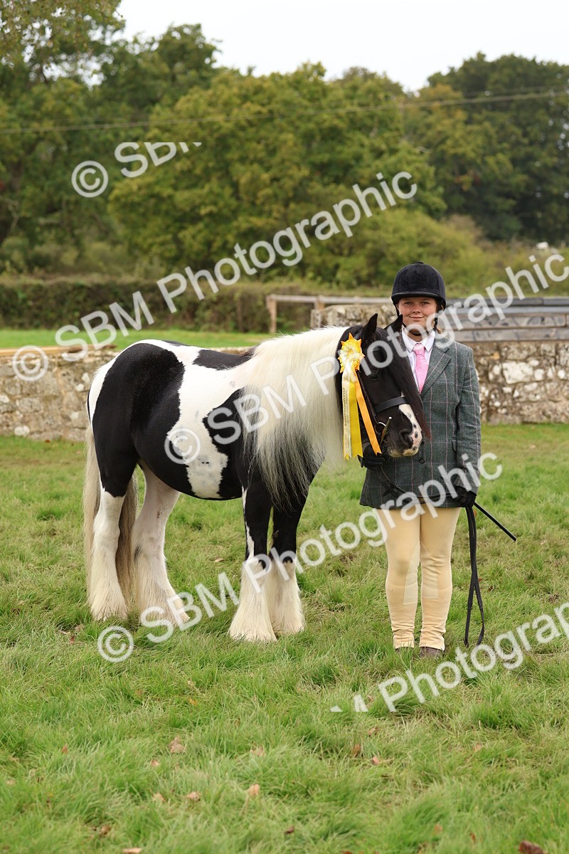 SBM_60007 - S36 - Rehabiliated Rescue Horse & Pony In Hand & Ridden