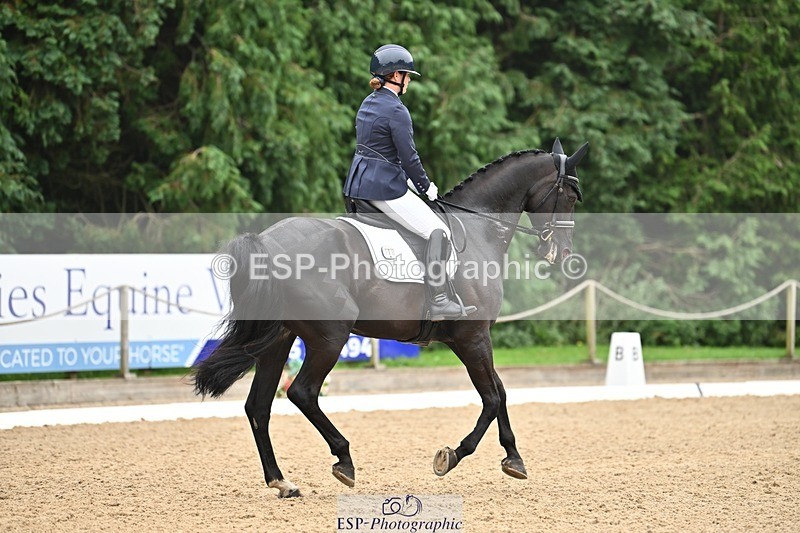 240811-120150-05321 - 118-Katie.Kneen-Springtime.Evergreen