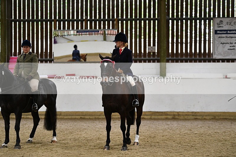 WJ5_8046 - Class 13 Ridden Part Breed