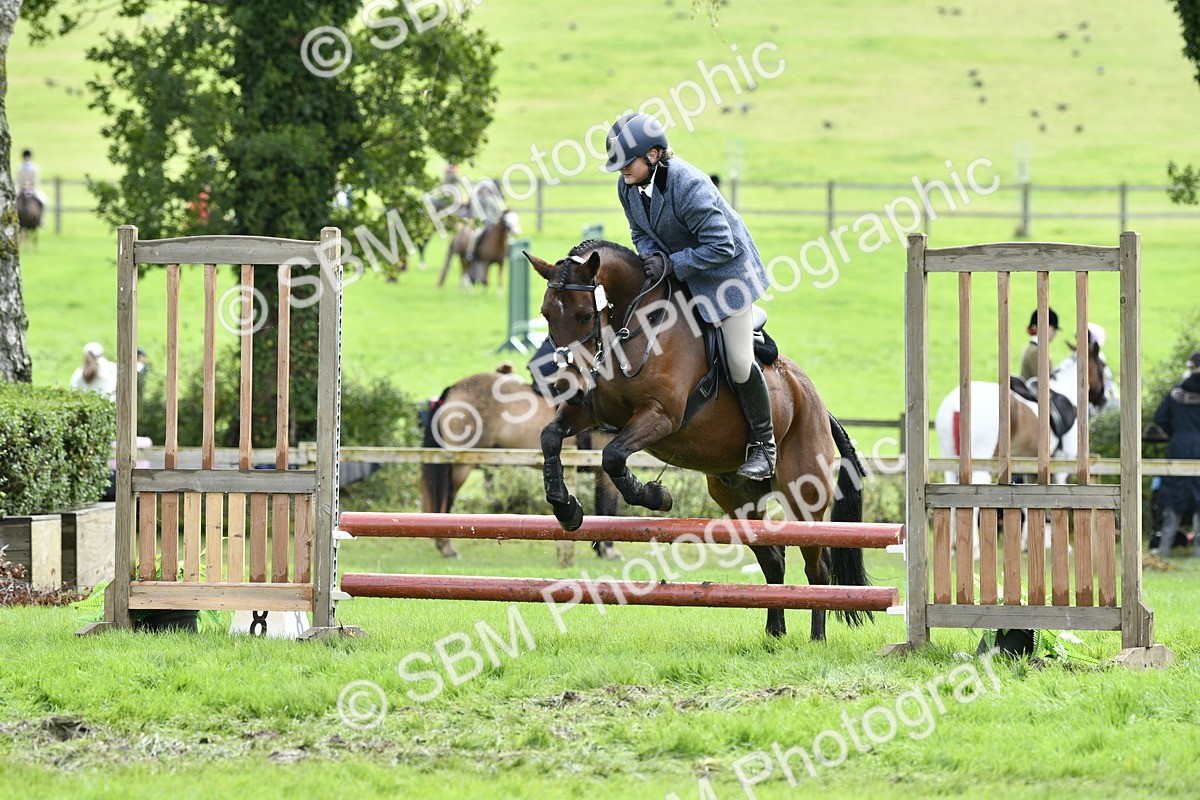 SBM_45631 - S33 - Working Hunter Pony