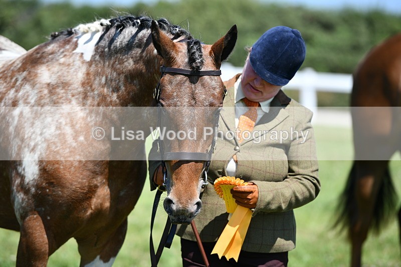 DSC_6860 - Class 57: Hunter/Riding Horse/Hack 1, 2 & 3 yr olds