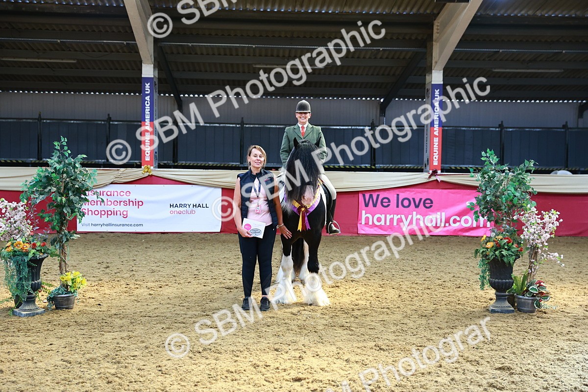 SBM_12764 - HOYS Veteran Qualifier - Ridden Champ