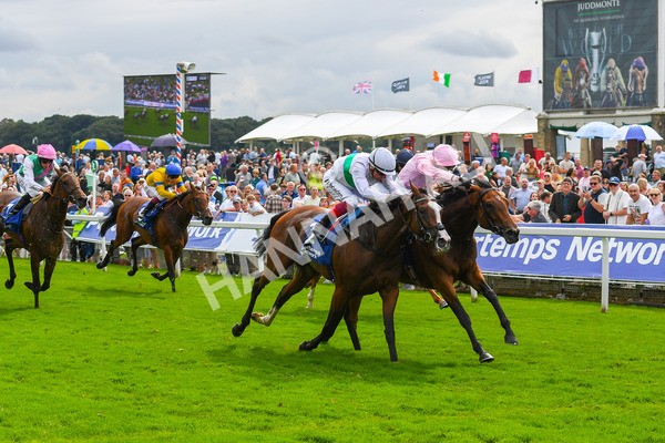 240823-Race 4-Warm Heart-0534 - Race 4 3.35pm Pertemps Network Yorkshire Oaks
