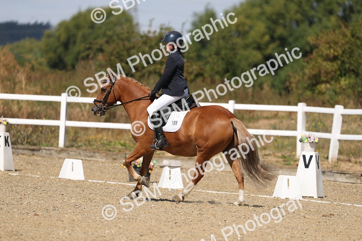 SBM_013746 - Class 1 - P5 Bronze 10.38.12.02