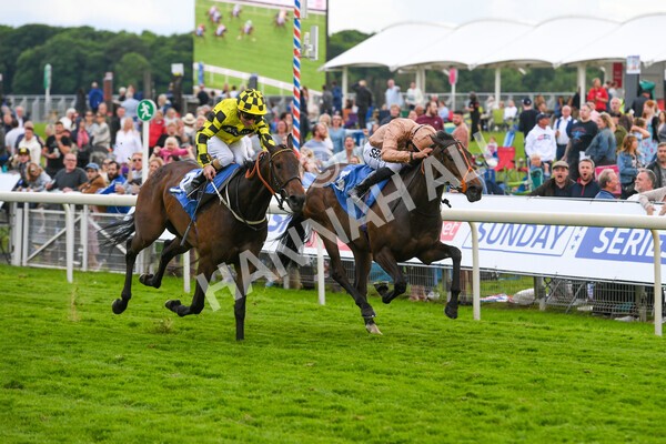 yr22052022r7-18 - Race 7: 6:40pm Sky Bet Sunday Series Fillies' and Mares Stakes