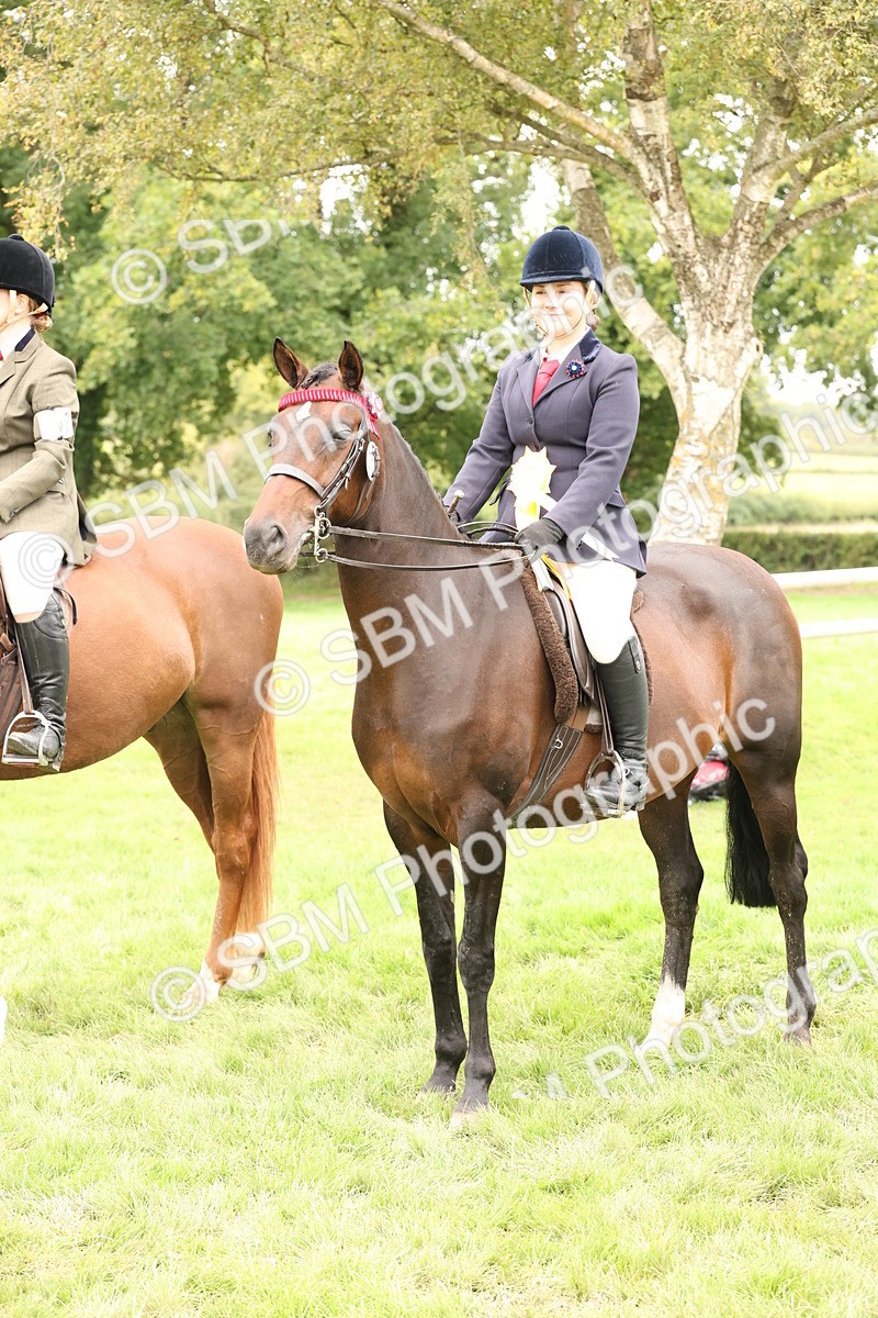 SBM_64349 - S65 - Riding Horse & Hack & Thoroughbred Ridden