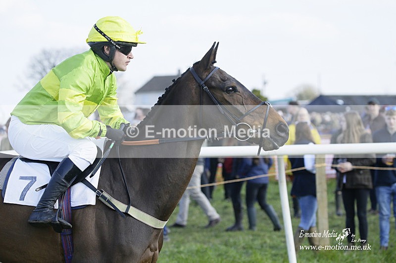 PtP 200322 293 - Mendip Farmers Point-to-Point 20/03/22