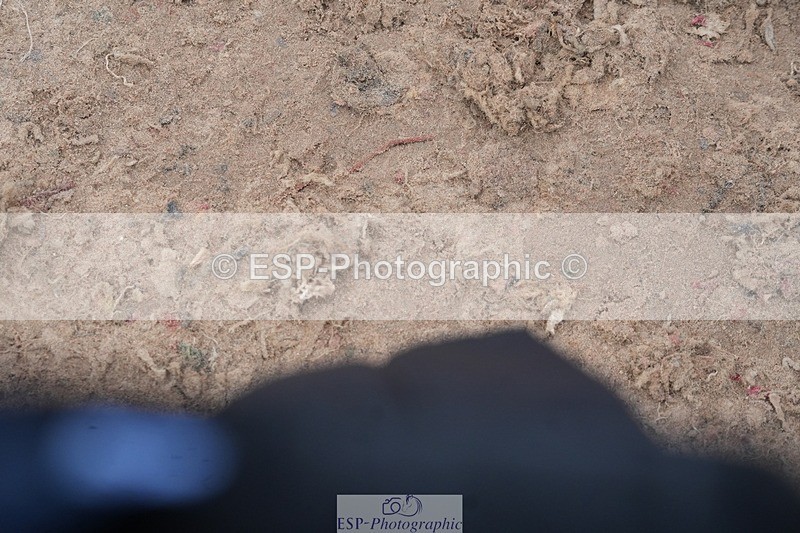 260315-132819-06281 - Cls 36 1.05m Amateur Quali