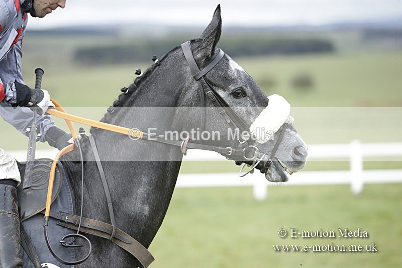 PtP 150320 0457 - New Forest Point-to-Point Larkhill 15/03/20