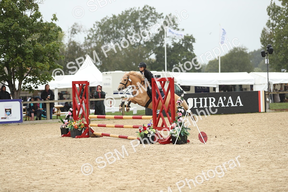 SBM_73693 - J16 - Junior Pony 75cm Championship