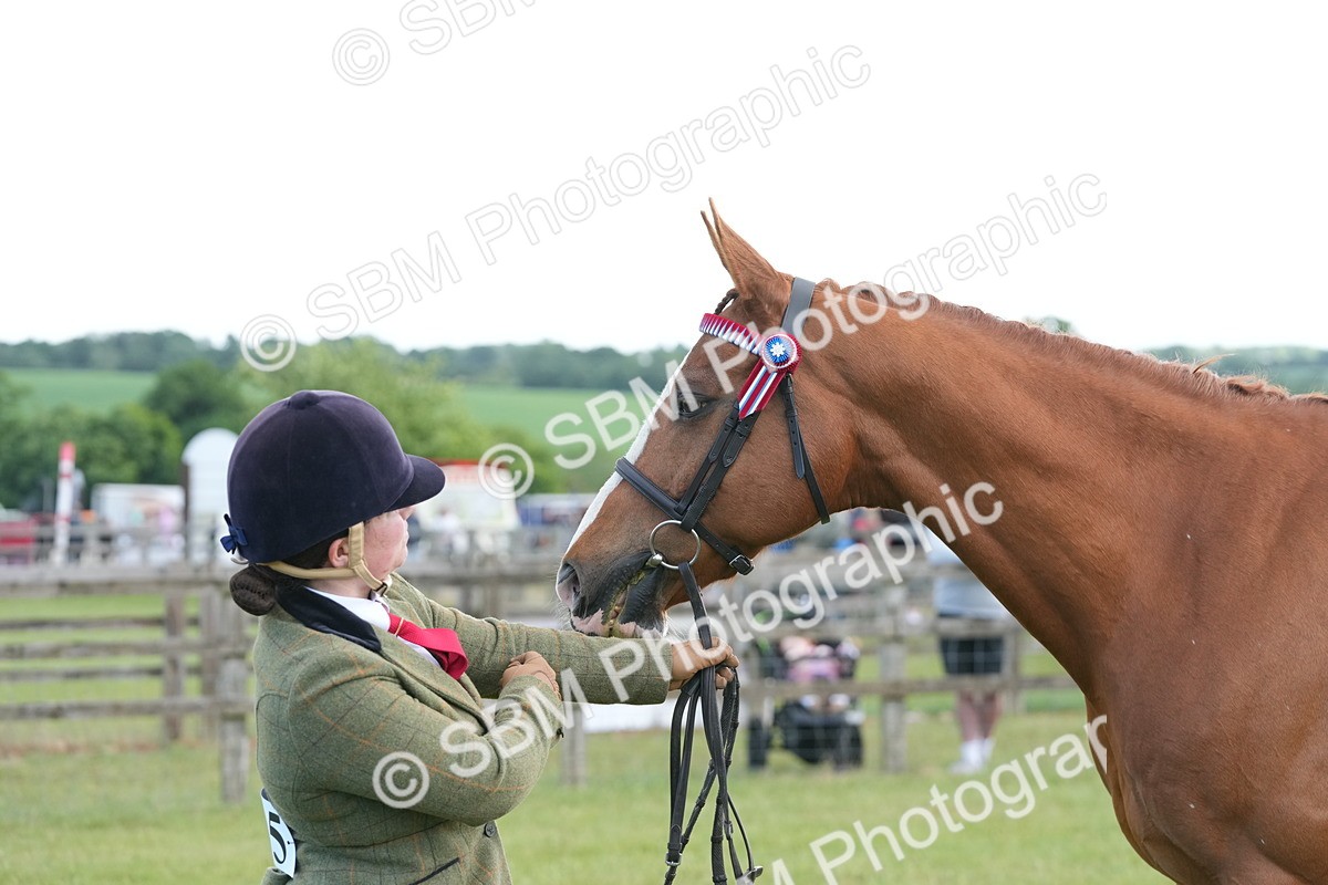 SBM_12952 - Class 99 - RIHS SEIB Working Show Horse