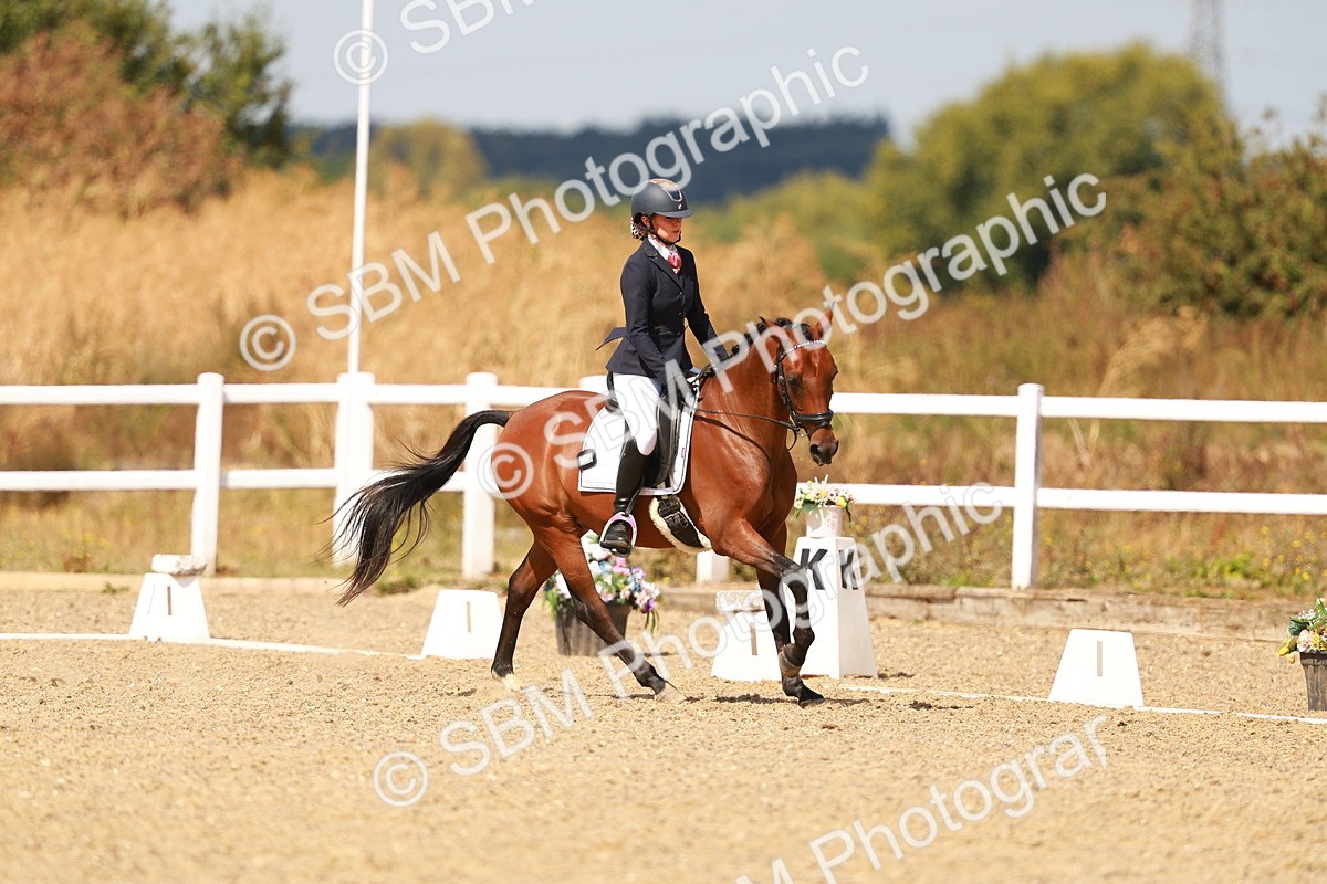 SBM_018478 - Class 9 - N5 Bronze 11.57.13.07