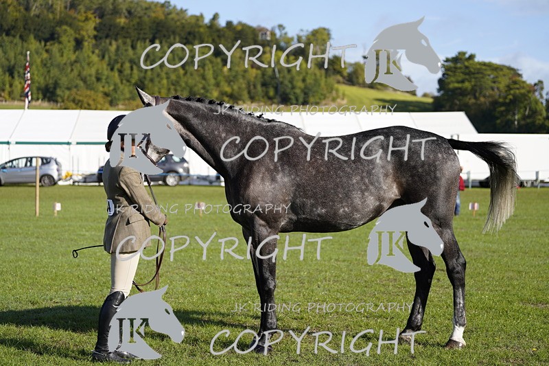 _DSC9495 - Class 8 & 17 Ridden Hunter & Ridden Hunter Pony