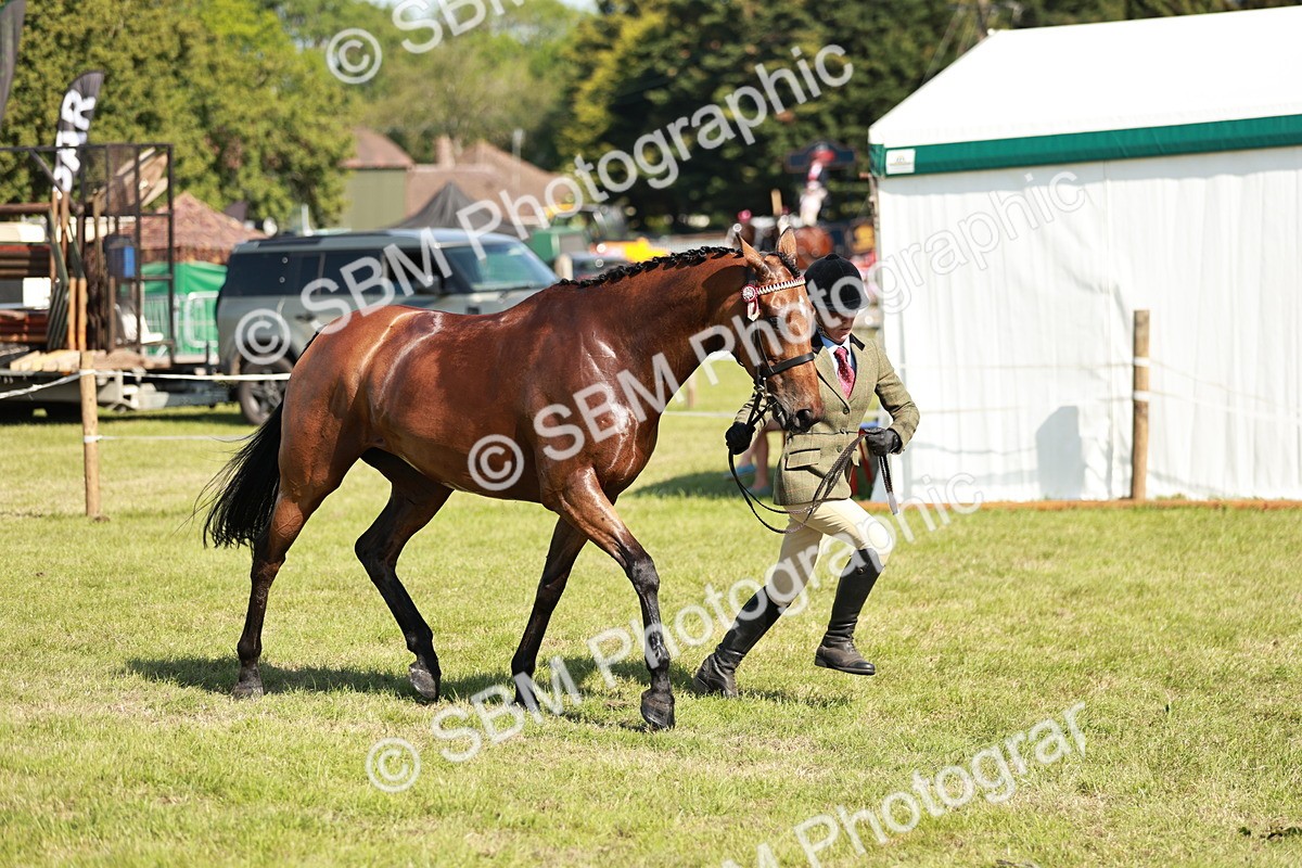 SBM_18914 - Class 114 - RIHS & SEIB Open Working Show Horse