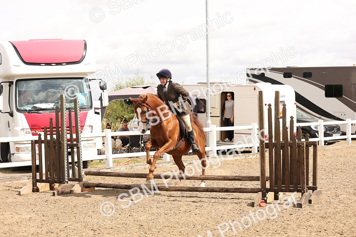 SBM_05216 - Class 56b -  Style & Performance - 50cm (20+)