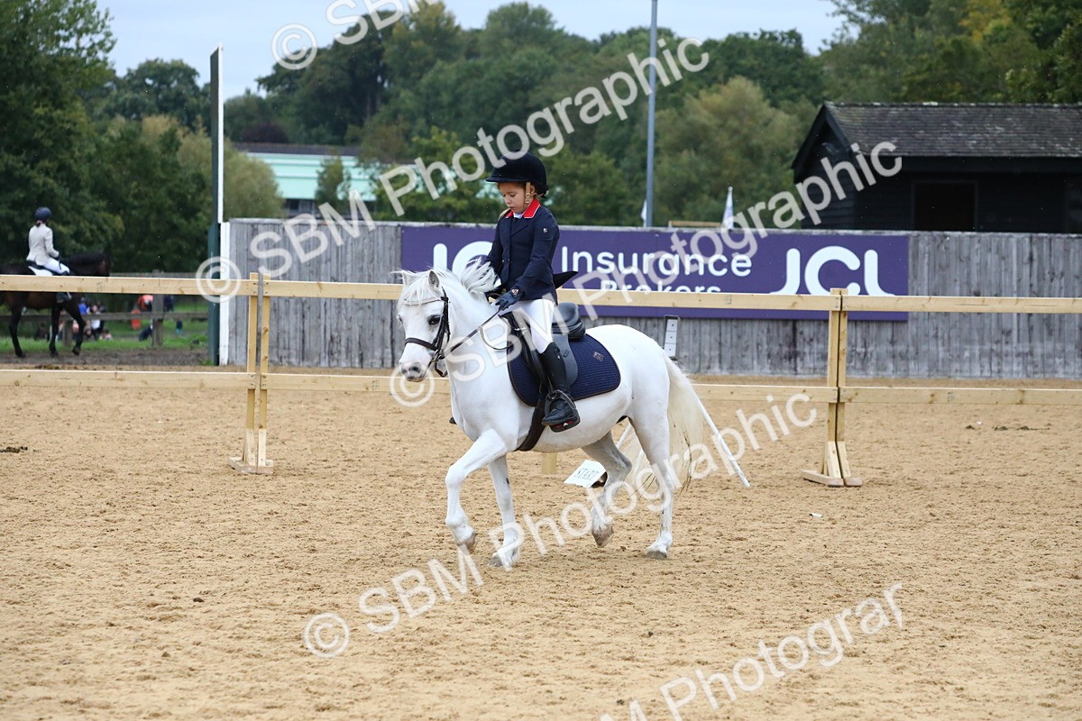 SBM_68378 - J3b - Mini Tour Junior Pony 40cm Championship