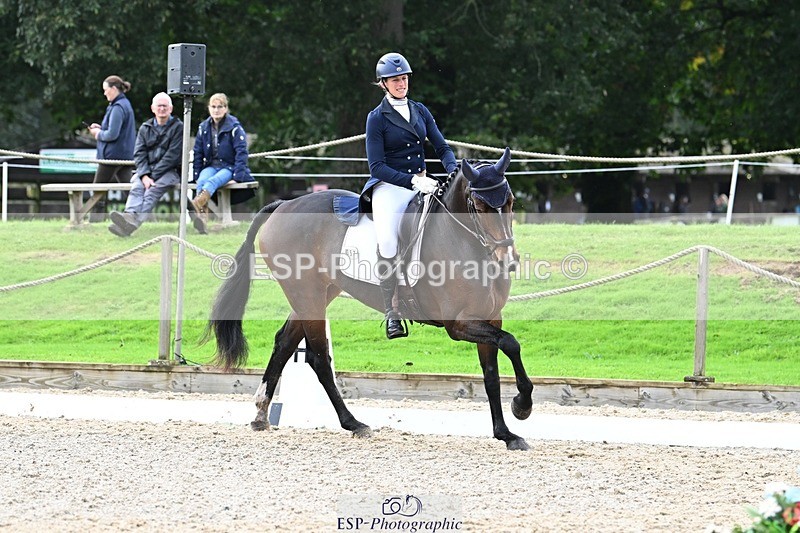 231019-145356-04311 - 057-OVERTON.TILANA'S.GOLD-Claire.Deuten-DR