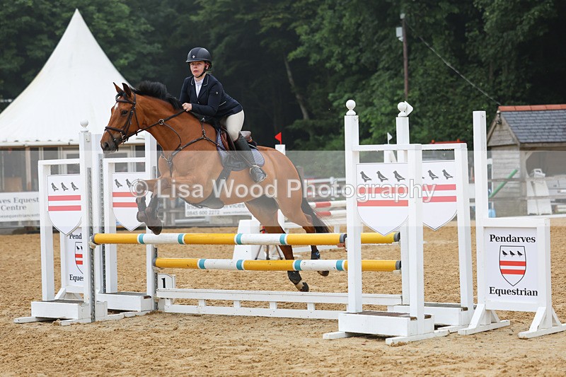 3E7A5330 - Class 4: Senior British Novice/90cm open