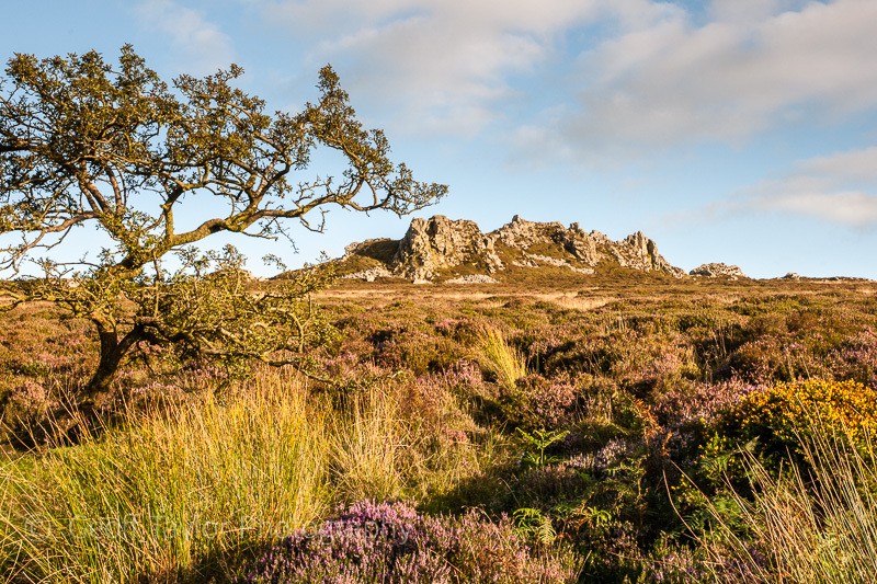 Devil's Chair from above Perkins Beach 1 - Stiperstones