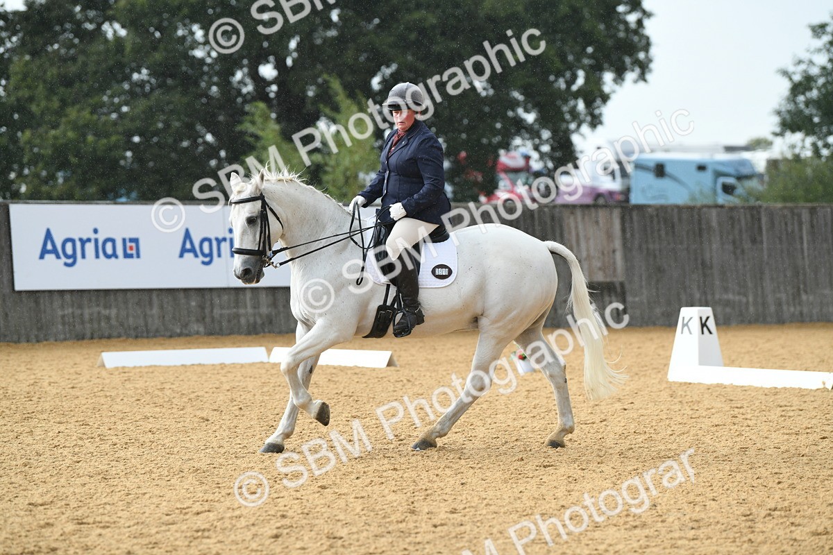 SBM_11137 - D28 Elementary Taster Elementary 42