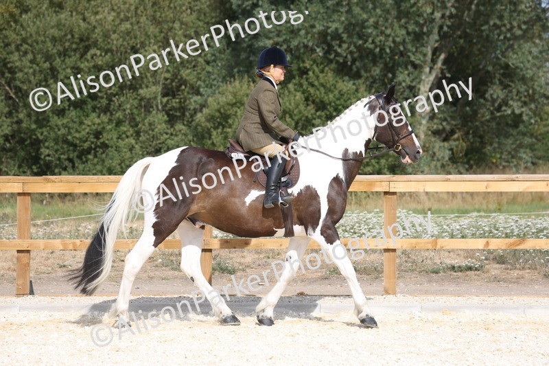 20260802-0411 - Class 6 - Veteran Ridden