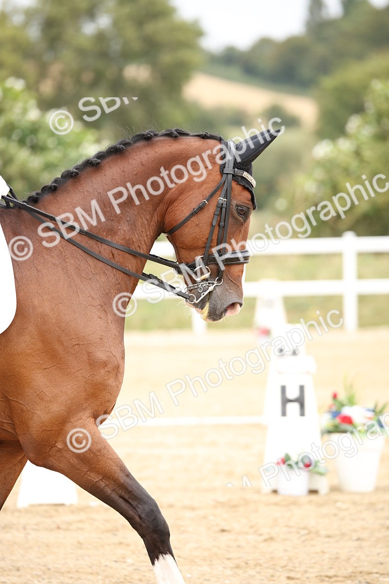 SBM_020067 - Class 25 - PSG Bronze