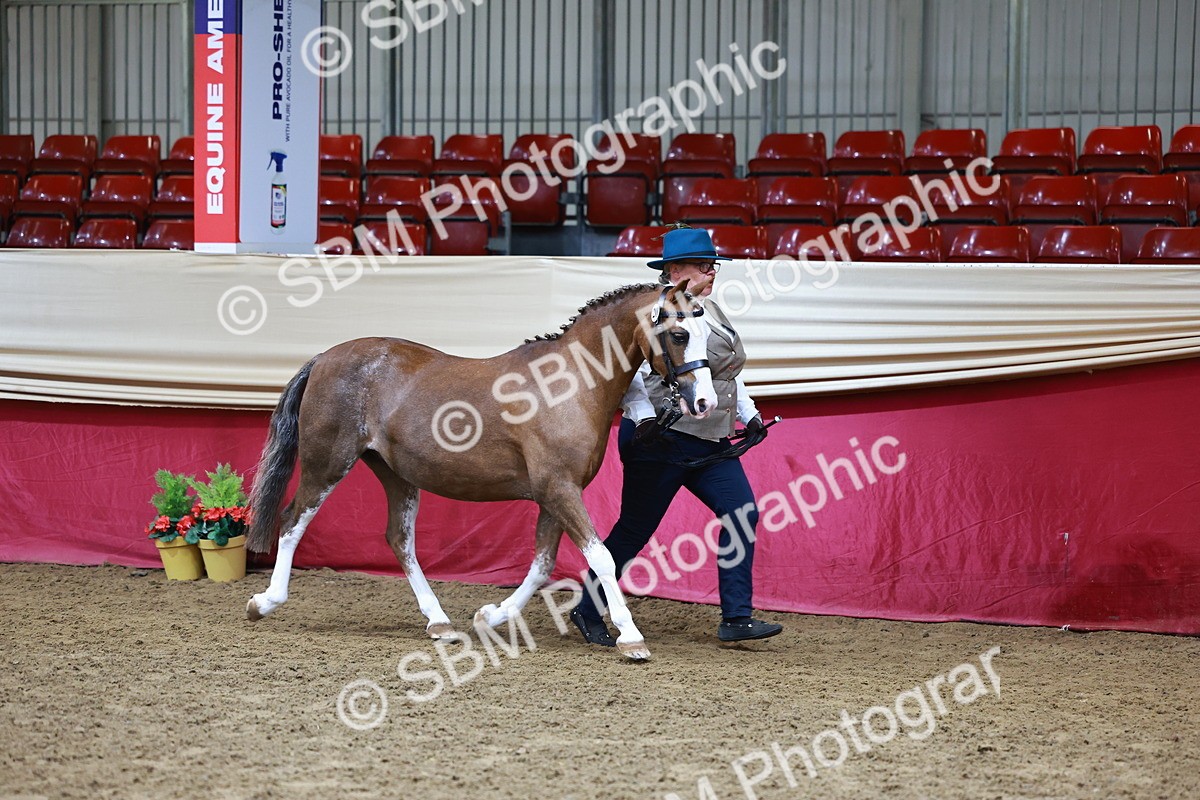 SBM_22119 - Class 902 - Supreme Final - IH Diamond