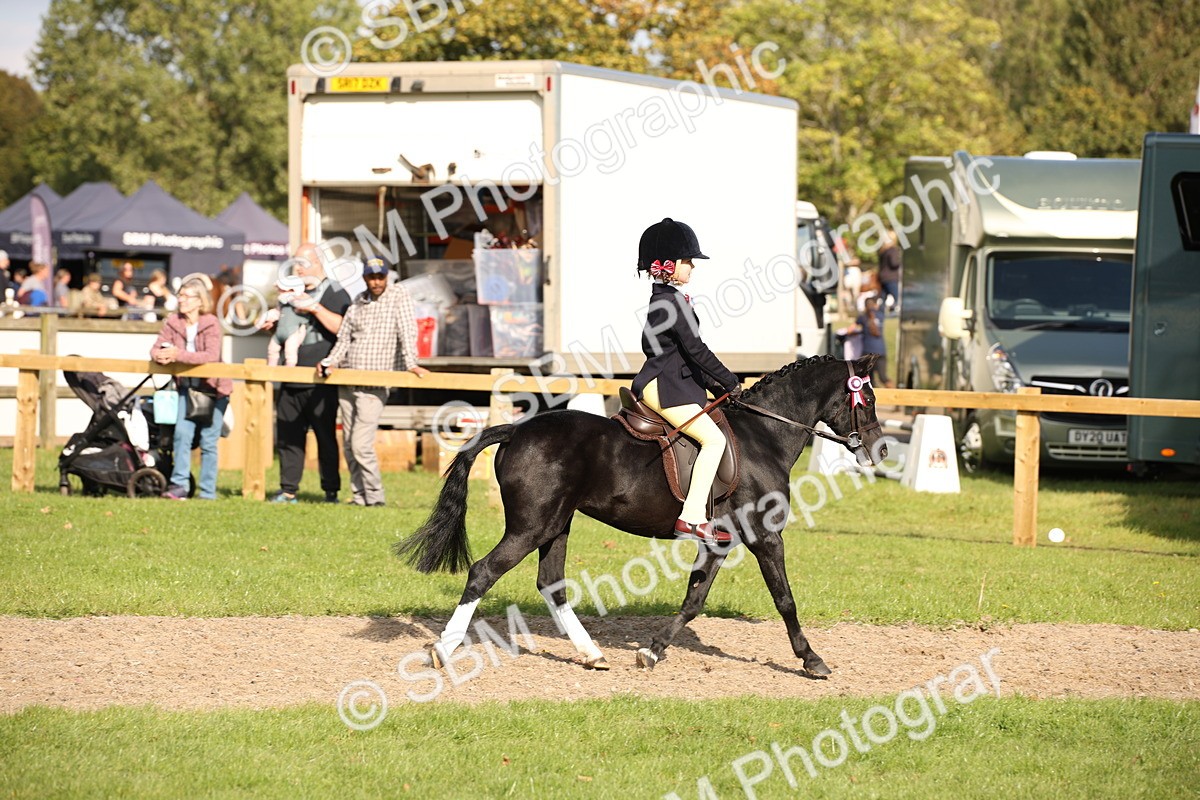 SBM_50130 - S26 - Young Veteran - Ridden