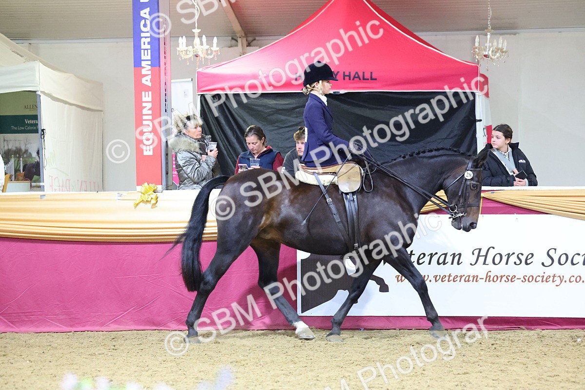 SBM_19300 - Class K Equitation Champ