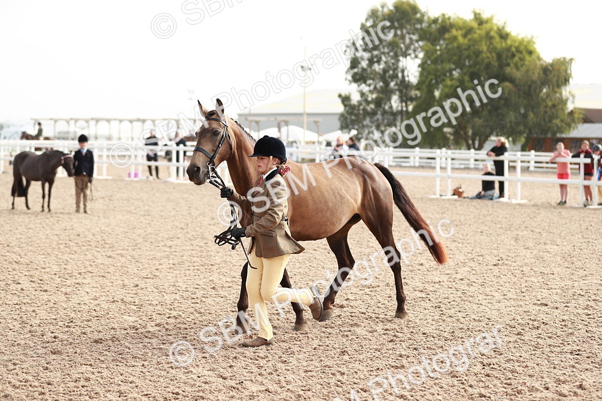 SBM_10579 - Class 204 Young Handler, 11-16 years