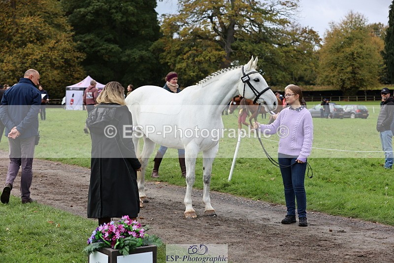 251026A-104510-23241 - F-415-Tara.Leddy