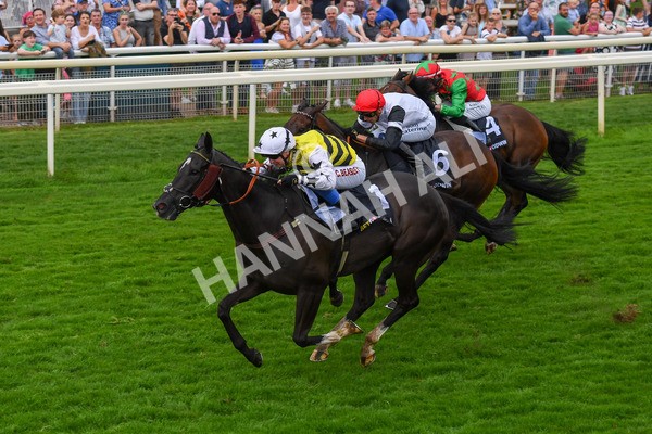 100923-Race 5-Commanche Falls-0890 - Race 5 3.50pm BetGoodwin Garrowby Stakes