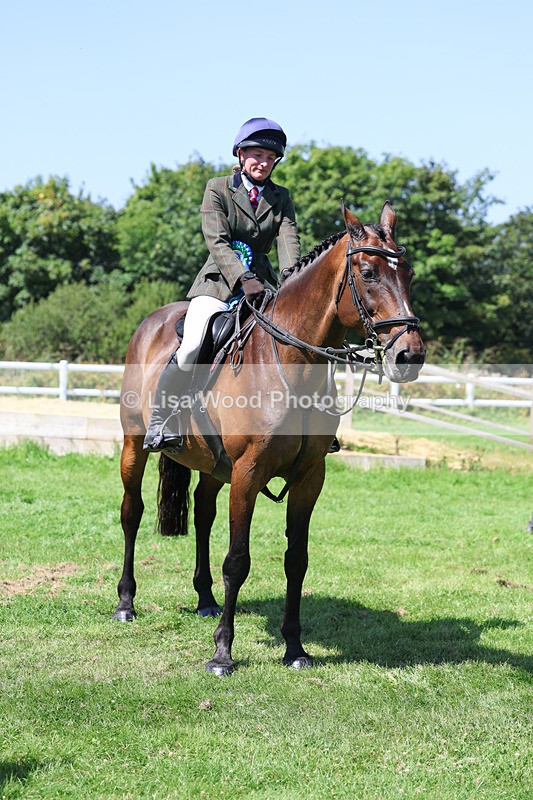 3E7A9283 - Working Hunter Championship