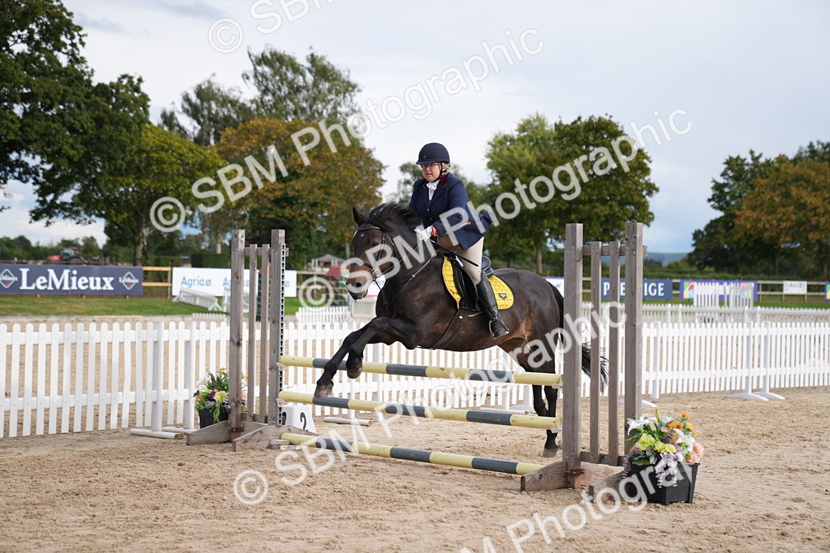 SBM_10377 - J37 Veteran 75cm Championship