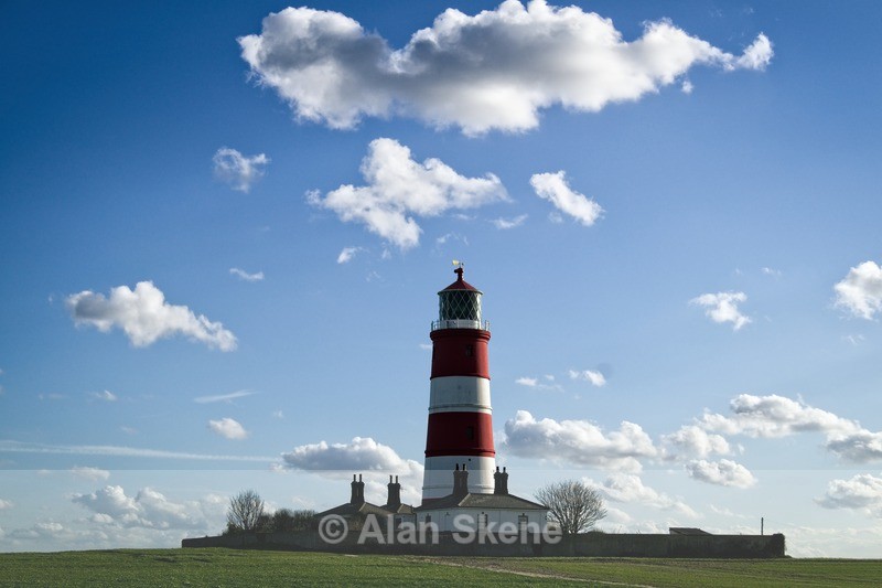 DSC02991 - Norfolk