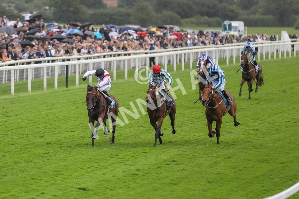 150723-Race 4-Hamish-8828 - Race 4 3.45pm John Smith's Silver Cup Stakes