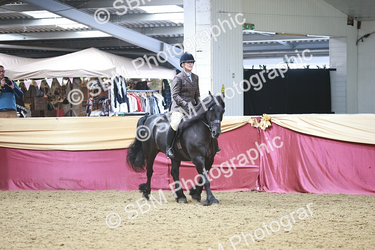 SBM_08881 - Class 12R - Regional Ridden Pre-Vet